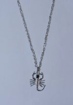 Silver Chain with Animal Locket Necklace Specially gift for Boys - Image 4