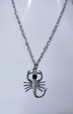 Silver Chain with Animal Locket Necklace Specially gift for Boys - Image 5