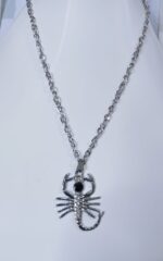 Silver Chain with Animal Locket Necklace Specially gift for Boys